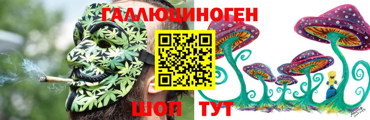 где купить наркотик  Галлюциногенные грибы Cubensis  Псилоцибиновые грибы Psilocybe  Вход с VPN  Подольск 